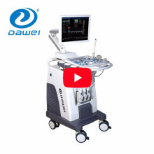DW-C80 medizinische Gerät 3 Sonden Wagen Farbe Doppler Ultraschallgerät Preis